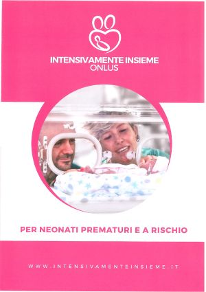 Int Ins costo progetto